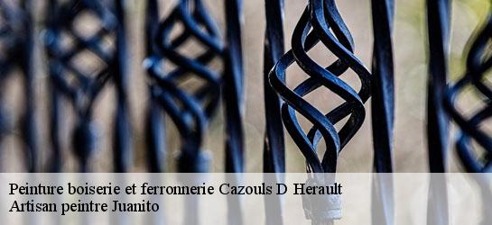 Peinture boiserie et ferronnerie  34120