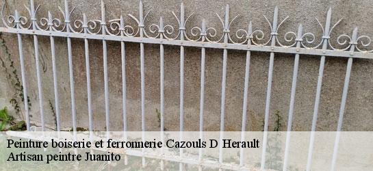 Peinture boiserie et ferronnerie  34120