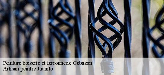 Peinture boiserie et ferronnerie 34360