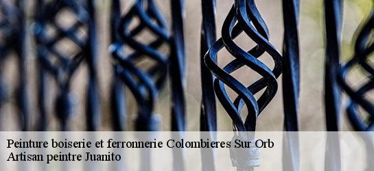 Peinture boiserie et ferronnerie  34390