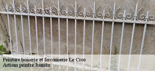 Peinture boiserie et ferronnerie  34520