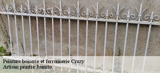 Peinture boiserie et ferronnerie 34310