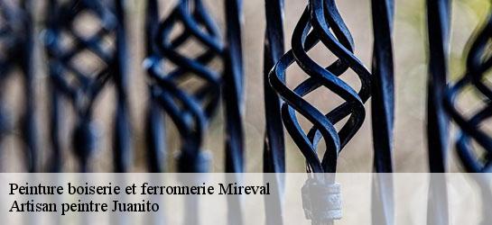 Peinture boiserie et ferronnerie  34110