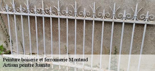 Peinture boiserie et ferronnerie 34160