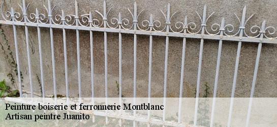 Peinture boiserie et ferronnerie 34290