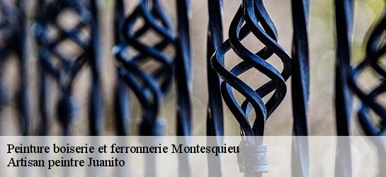 Peinture boiserie et ferronnerie  34320