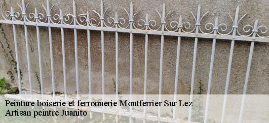 Peinture boiserie et ferronnerie  34980