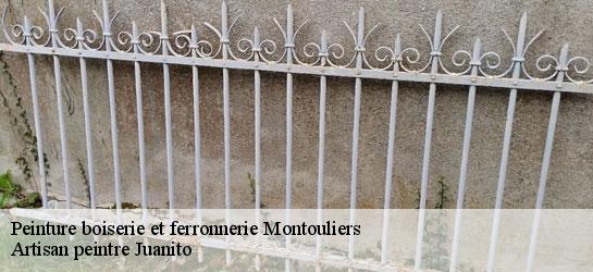 Peinture boiserie et ferronnerie  34310