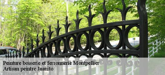 Peinture boiserie et ferronnerie  34000