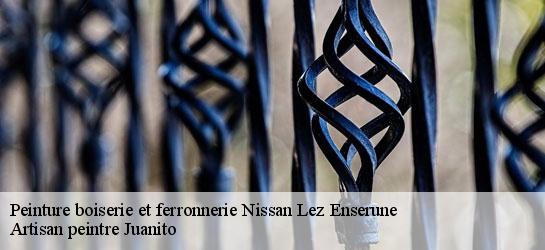 Peinture boiserie et ferronnerie  34440