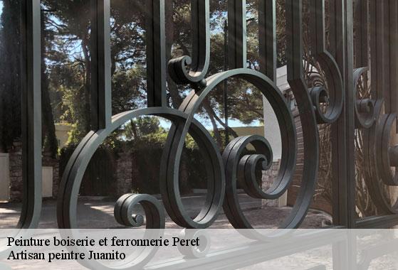 Peinture boiserie et ferronnerie peret-34800 Artisan peintre Juanito