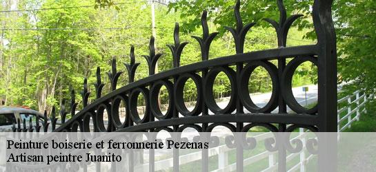 Peinture boiserie et ferronnerie 34120