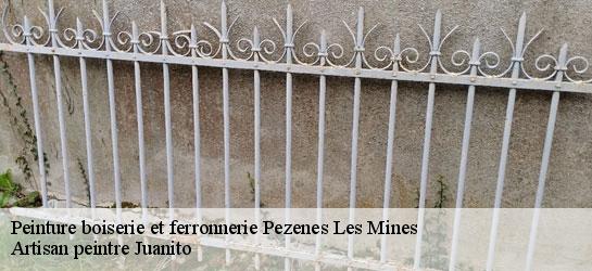 Peinture boiserie et ferronnerie 34600