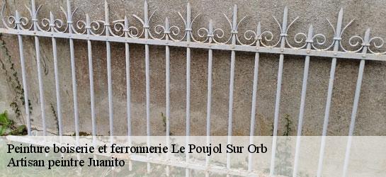 Peinture boiserie et ferronnerie 34600
