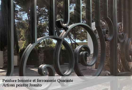 Peinture boiserie et ferronnerie quarante-34310 Artisan peintre Juanito