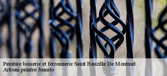 Peinture boiserie et ferronnerie  34160