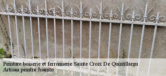 Peinture boiserie et ferronnerie 34270