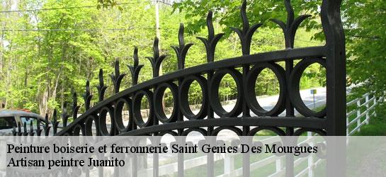 Peinture boiserie et ferronnerie  34160