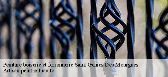 Peinture boiserie et ferronnerie  34160