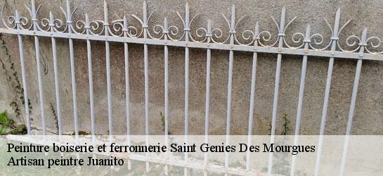 Peinture boiserie et ferronnerie  34160