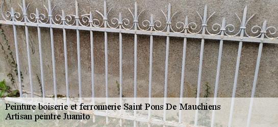 Peinture boiserie et ferronnerie 34230