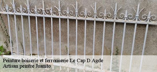 Peinture boiserie et ferronnerie 34300