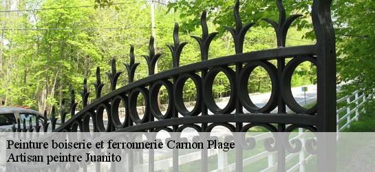 Peinture boiserie et ferronnerie 34280