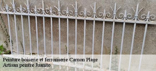 Peinture boiserie et ferronnerie 34280