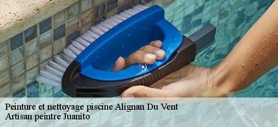 Peinture et nettoyage piscine 34290