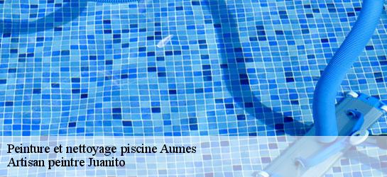 Peinture et nettoyage piscine  34530