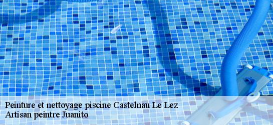 Peinture et nettoyage piscine  34170