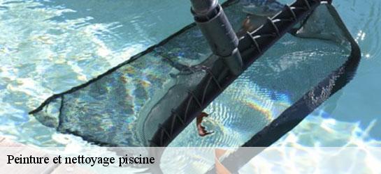 Peinture et nettoyage piscine  34170