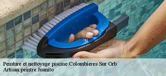 Peinture et nettoyage piscine  34390