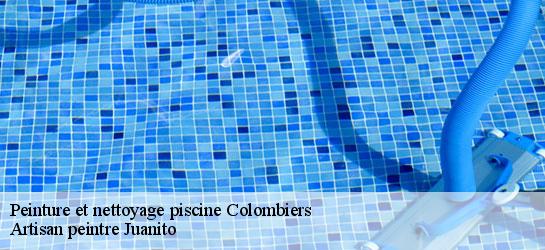 Peinture et nettoyage piscine 34440