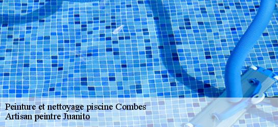Peinture et nettoyage piscine 34240
