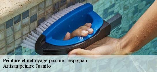 Peinture et nettoyage piscine 34710