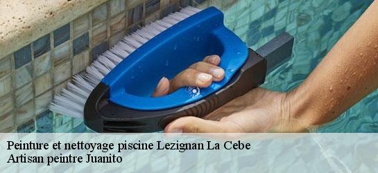 Peinture et nettoyage piscine 34120
