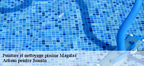 Peinture et nettoyage piscine 34480