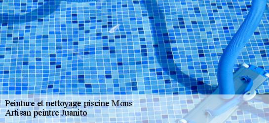 Peinture et nettoyage piscine  34390