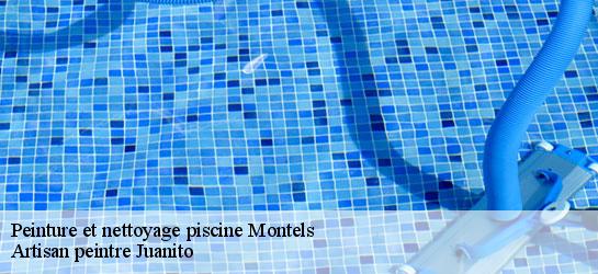 Peinture et nettoyage piscine  34310