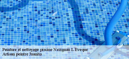 Peinture et nettoyage piscine  34120