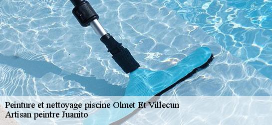 Peinture et nettoyage piscine 34700