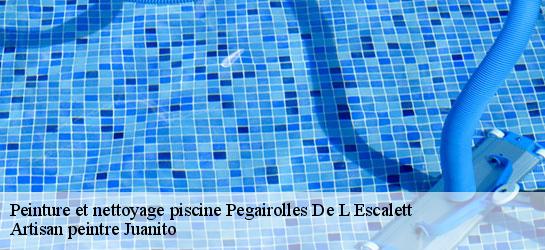 Peinture et nettoyage piscine  34700