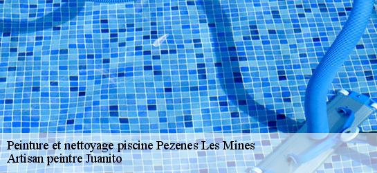 Peinture et nettoyage piscine  34600