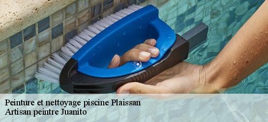 Peinture et nettoyage piscine  34230