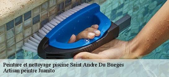 Peinture et nettoyage piscine 34190