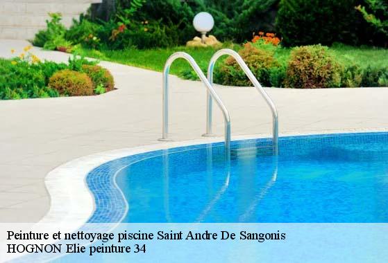 Peinture et nettoyage piscine  saint-andre-de-sangonis-34725 HOGNON Elie peinture 34