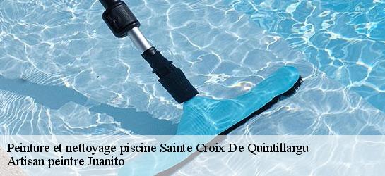 Peinture et nettoyage piscine 34270