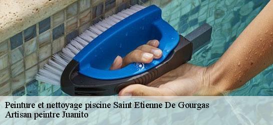 Peinture et nettoyage piscine  34700