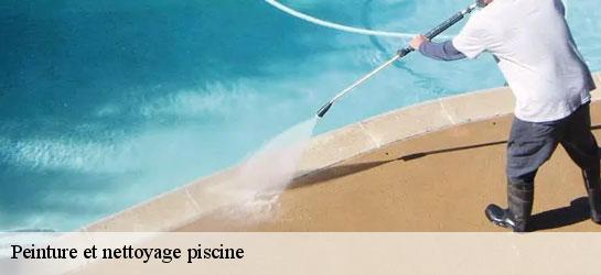 Peinture et nettoyage piscine  34680